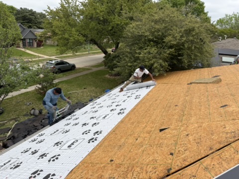 Two roofers rolling out GAF synthetic felt underlayment on fresh plywood decking during a Richardson TX roof installation