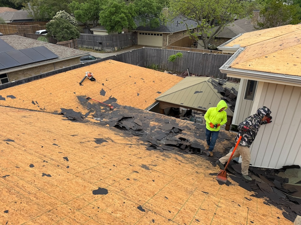 Roofing crew removing old shingles and cleaning roof deck during a full roof replacement in a Richardson TX neighborhood