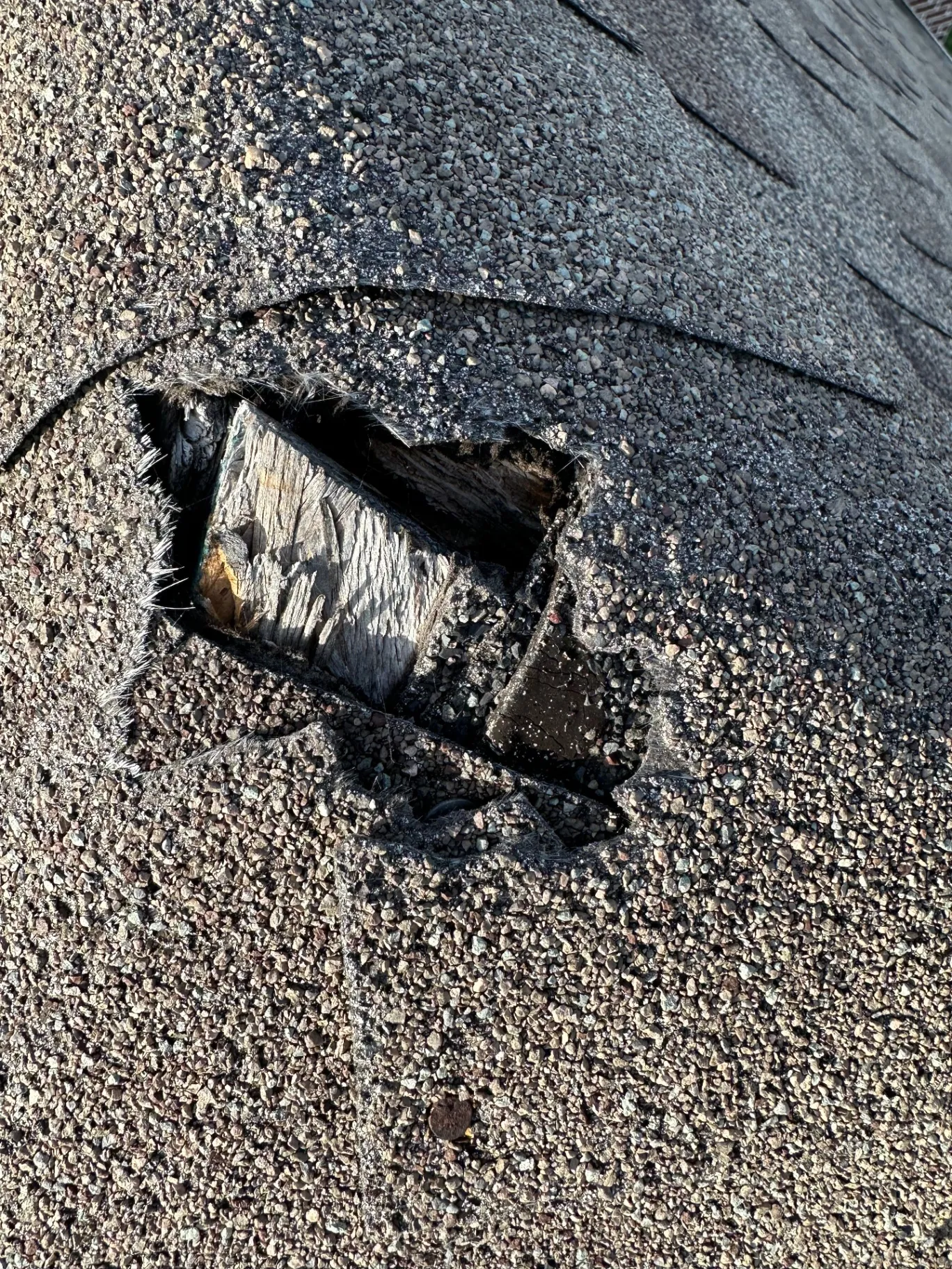 Close-up image showing significant roof ridge damage on a residential home near Preston Hollow Park in Dallas, TX. The photo highlights a hole in the asphalt shingles exposing the underlying wooden decking, indicating the need for roof repair or replacement.